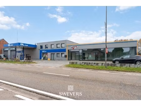 commercieel te huur in houthalen-helchteren