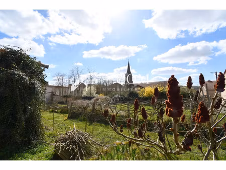 2 maisons pour les prix d'une : maison familiale de 1186 m² habitables avec 97 m² loués