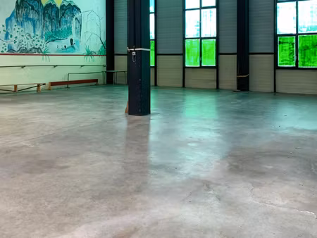 achat local professionnel 350m² st etienne 42100