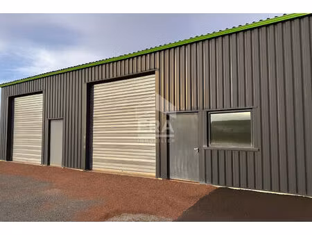 local professionnel : entrepôt + bureau / 132 m² / copro récente / 2 parkings privatifs