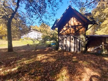 exclusivité square habitat - vivez au coeur d'un environnement exceptionnel !