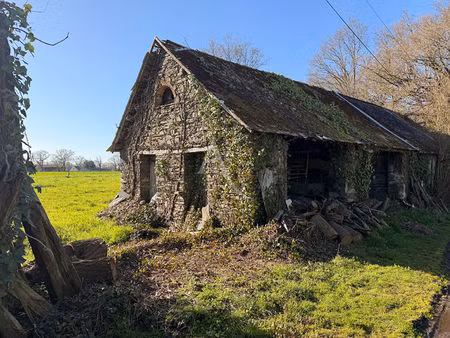 terrain 584 m2