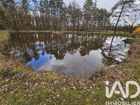 vente terrain à bouzy-la-forêt (45460) : à vendre / 5400m² bouzy-la-forêt
