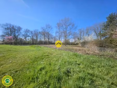 terrain possibilité de diviser