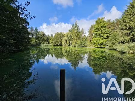 vente terrain à noyers (45260) : à vendre / 9000m² noyers