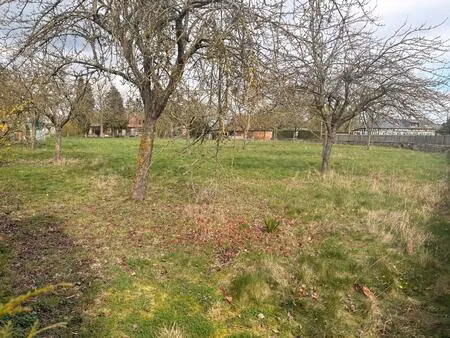 vente terrain 1394 m² bray (27170)