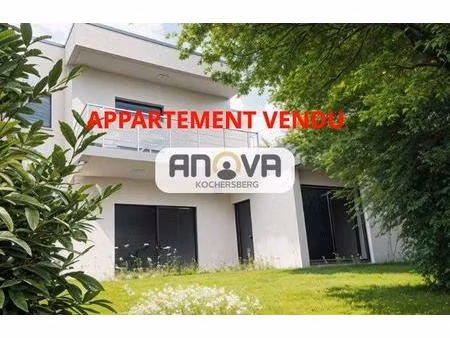 saverne haut barr grand 3p avec jardin et terrasse