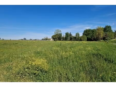 annonce terrain à vendre