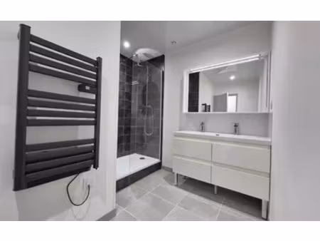 les roches-de-condrieu (38370)