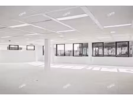 location local professionnel 416m²
