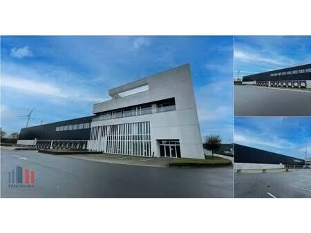 surface industrielle à louer à gotevlietstraat 86 bruges (rbv44147)