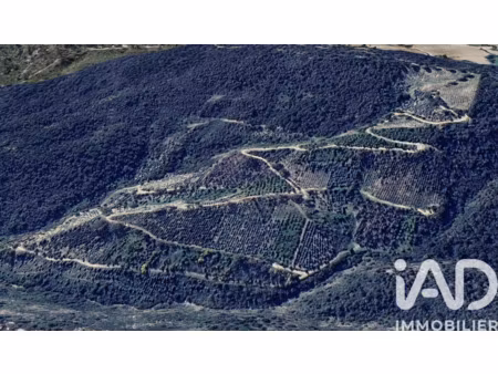 vente terrain à plan-de-la-tour (83120) : à vendre / 150000m² plan-de-la-tour