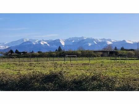 exclusvité  a vendre  terrain constructible non-viabilisé de 4943 m² situé à assat