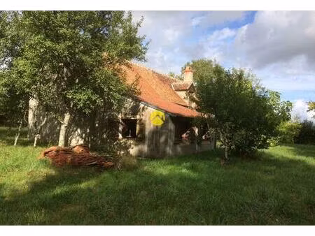 vente maison 5 pièces 167 m² blet (18350)