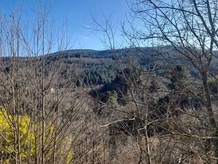 maison de plain-pied à louer