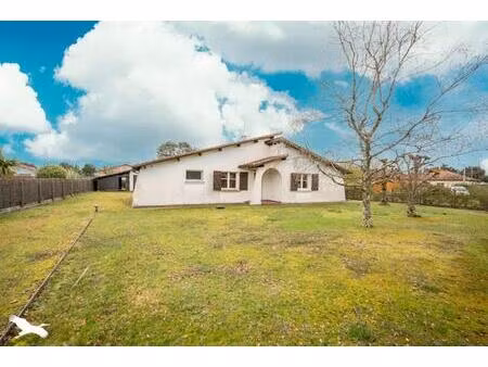 vente maison 4 pièces 109 m² linxe (40260)