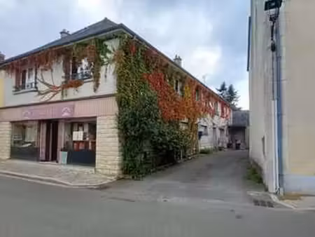 vente immeuble à vaiges (53480) : à vendre / 315m² vaiges