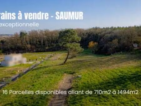 vente terrain à saumur (49400) : à vendre / 710m² saumur
