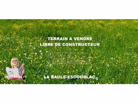 en vente terrain constructible 5 56 ares – 250 000 € |la baule-escoublac