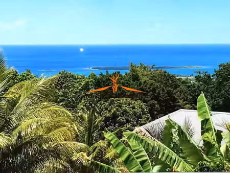 vente villa 4 pièces 117 m² à sainte rose (97115)  429 000 €