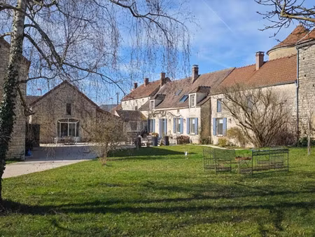 vente maison 9 pièces 300 m² à noyers (89310)  491 000 €