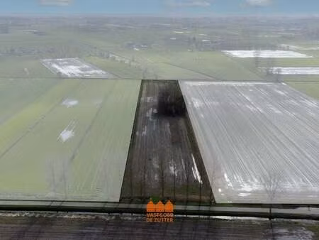 terrain à vendre à sint-jan-in-eremo € 159.940 (lly3x) - vastgoed de zutter | zimmo