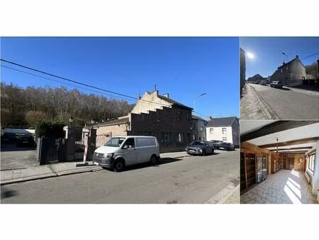 maison à vendre avec terrasse et jardin   forchies-la-marche (vwd16904)