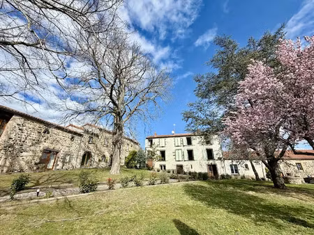 vente maison 14 pièces 600 m² à bergonne (63500)  839 000 €