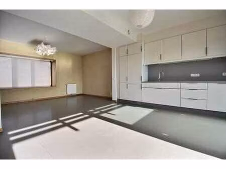 spacieux duplex 3 chambres avec terrasse