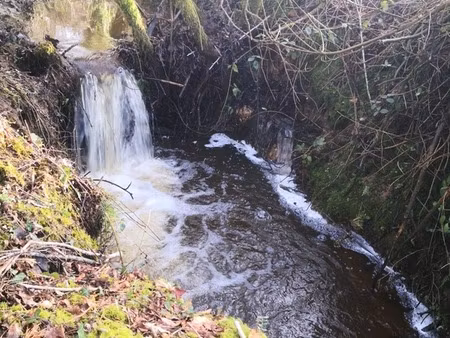 parcelle boisée de 8 hectares proche de moncontour