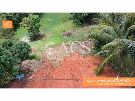 beau terrain quasiment plat - le vauclin