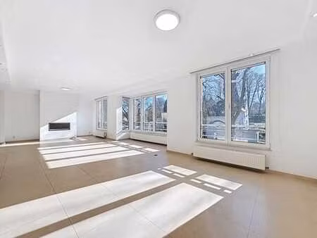 duplex 4 chambres - terrasse + parking