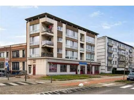 commerce - rez-de-chausée