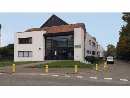 location local professionnel 560m² wissembourg 67160