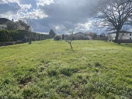 terrain constructible albi  933 m²