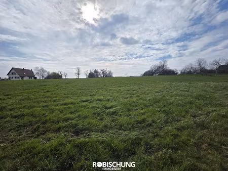 helfrantzkirch : terrain de 83 ares dont 55 constructibles