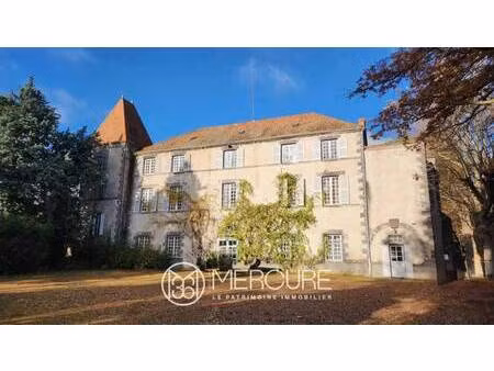 château à vendre