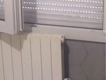 apparemment 3 pièces (longnes 78 980. )