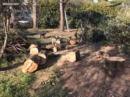 terrain 159 m² cournonterral