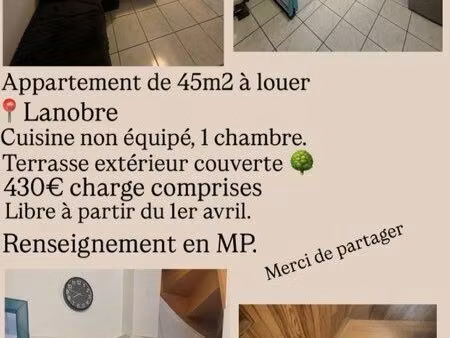 appartement à louer 45m2