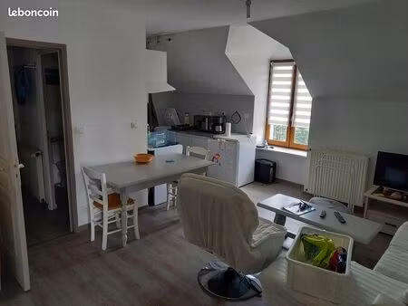 appartement au centre de riom es montagnes