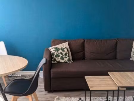 grand t2 meublé lumineux 55 m² – proche du centre de valenciennes