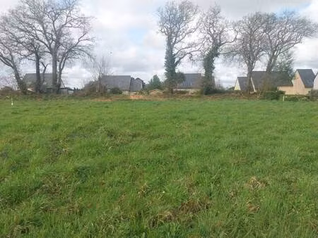 terrain constructible viabilisé à vendre