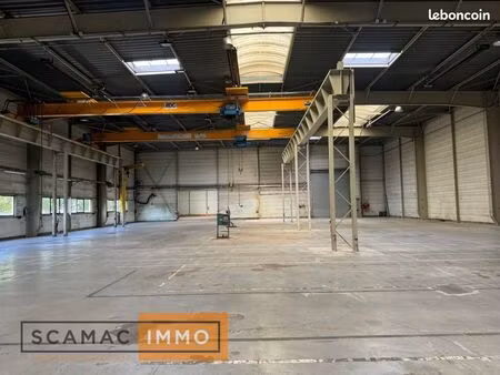 local industriel 2 816 m²