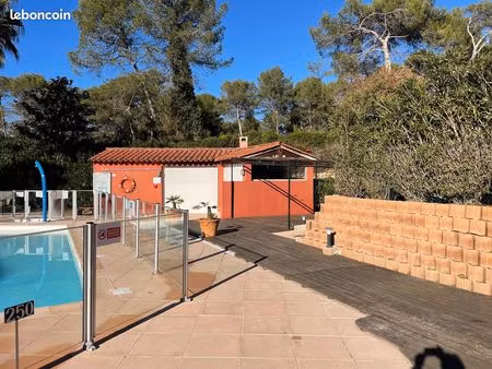 local commercial snack  bar ou autres