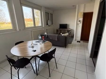 vesoul   lumineux t2 en rdc