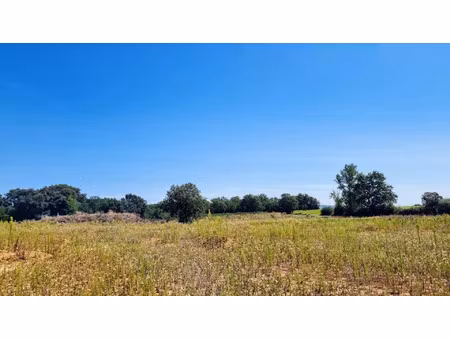 vente terrain 551 m² savenès (82600)