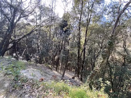 vente terrain 2397 m² à menton (06500)  27 500 €