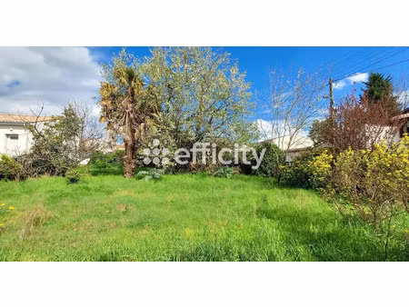vente terrain 445 m² à cognac (16100)  54 000 €