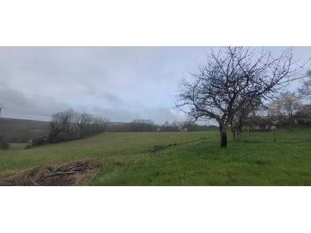 vente terrain 25000 m² à condezaygues (47500)  61 000 €